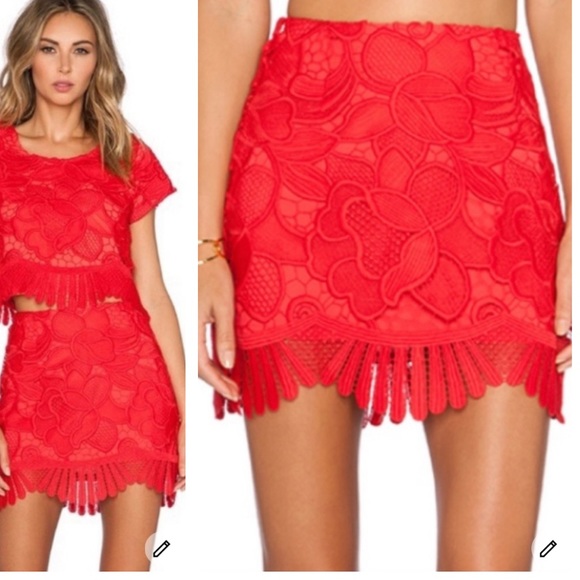 Lovers + Friends Dresses & Skirts - 6. Lovers + Friends Aviva Lace Skirt XS